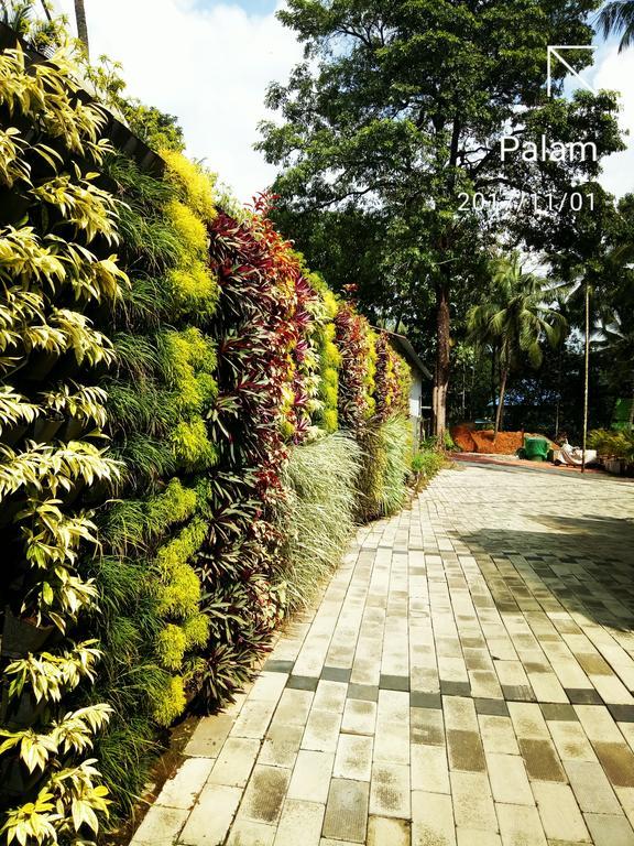 Willow Heights أثيرابالي المظهر الخارجي الصورة